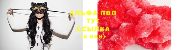 крисы Балахна