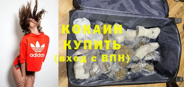 крисы Балахна