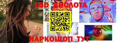 spice Нальчик