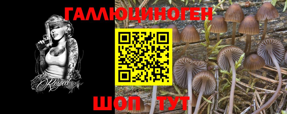 Галлюциногенные грибы GOLDEN TEACHER Верхняя Салда