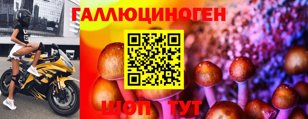 Псилоцибиновые грибы GOLDEN TEACHER  Вход с VPN  Верхняя Салда 